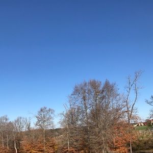 Meet your Posher, Annabelle